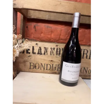 Domaine Dufouleur - Bourgogne "Pinot Noir" 2022