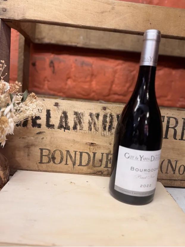 Domaine Dufouleur - Bourgogne "Pinot Noir" 2022