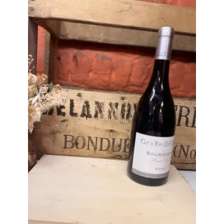 Domaine Dufouleur - Bourgogne "Pinot Noir" 2022