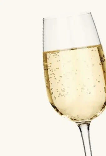 Catégorie - Champagnes